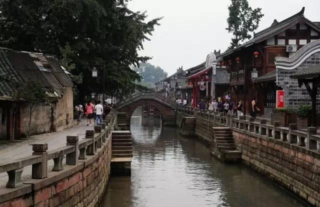 这是因杨苡而被照亮的历史